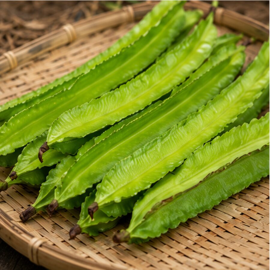 Hainan Winged Bean