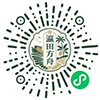 WeChat Mini Program